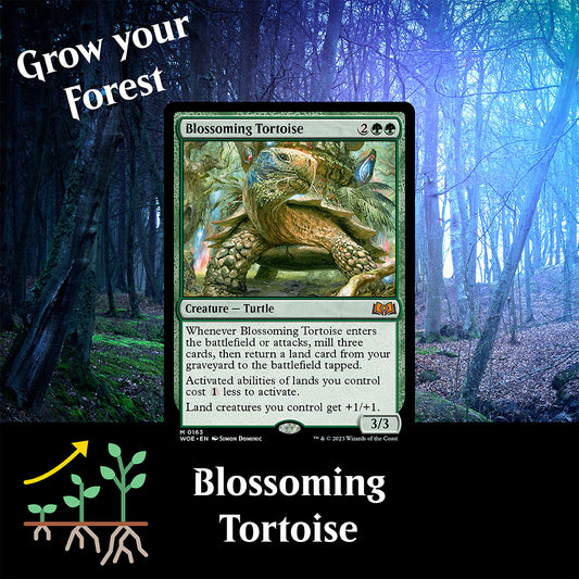 Grow your Forest with Blossoming Tortoise