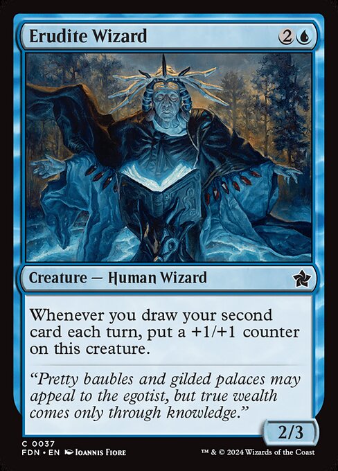 Erudite Wizard - Foundations