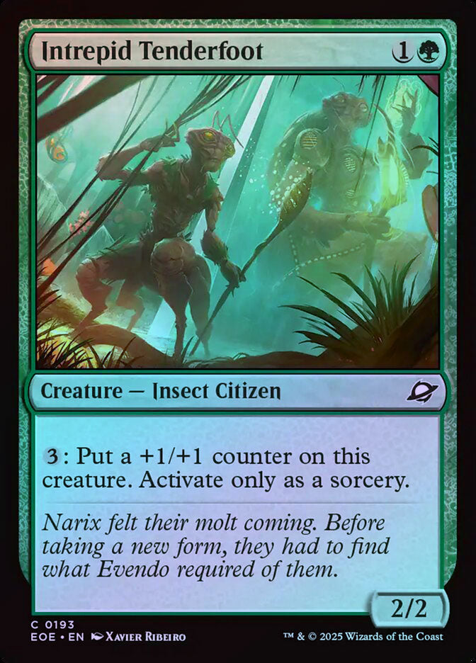 Intrepid Tenderfoot - Foil