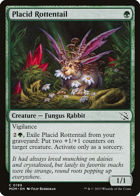 Placid Rottentail